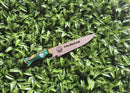 PICANHEIRA ESPECIAL PALMEIRAS