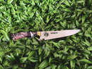 PICANHEIRA ESPECIAL VASCO